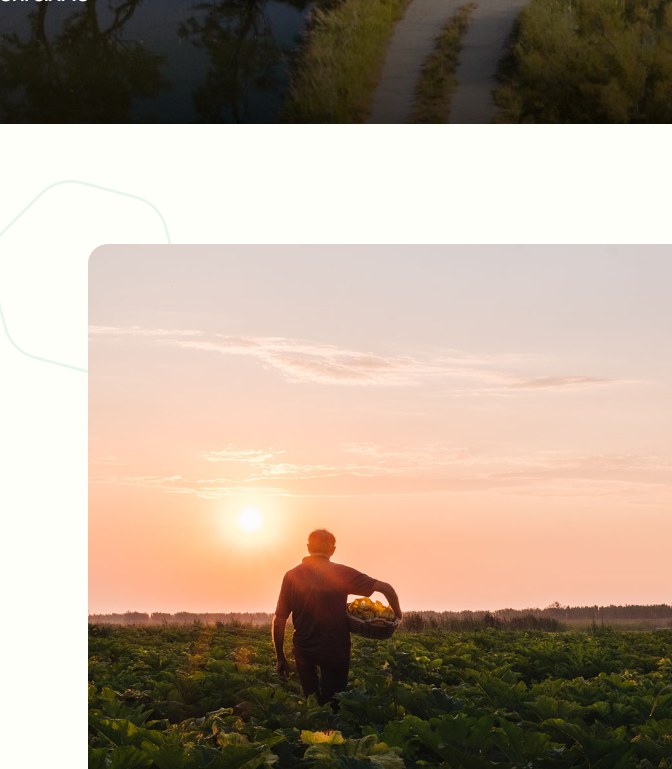 Sito Web - Fondazione DMO Delta Po Adige
