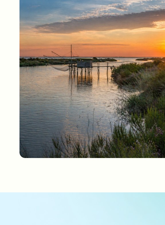 Sito Web - Fondazione DMO Delta Po Adige