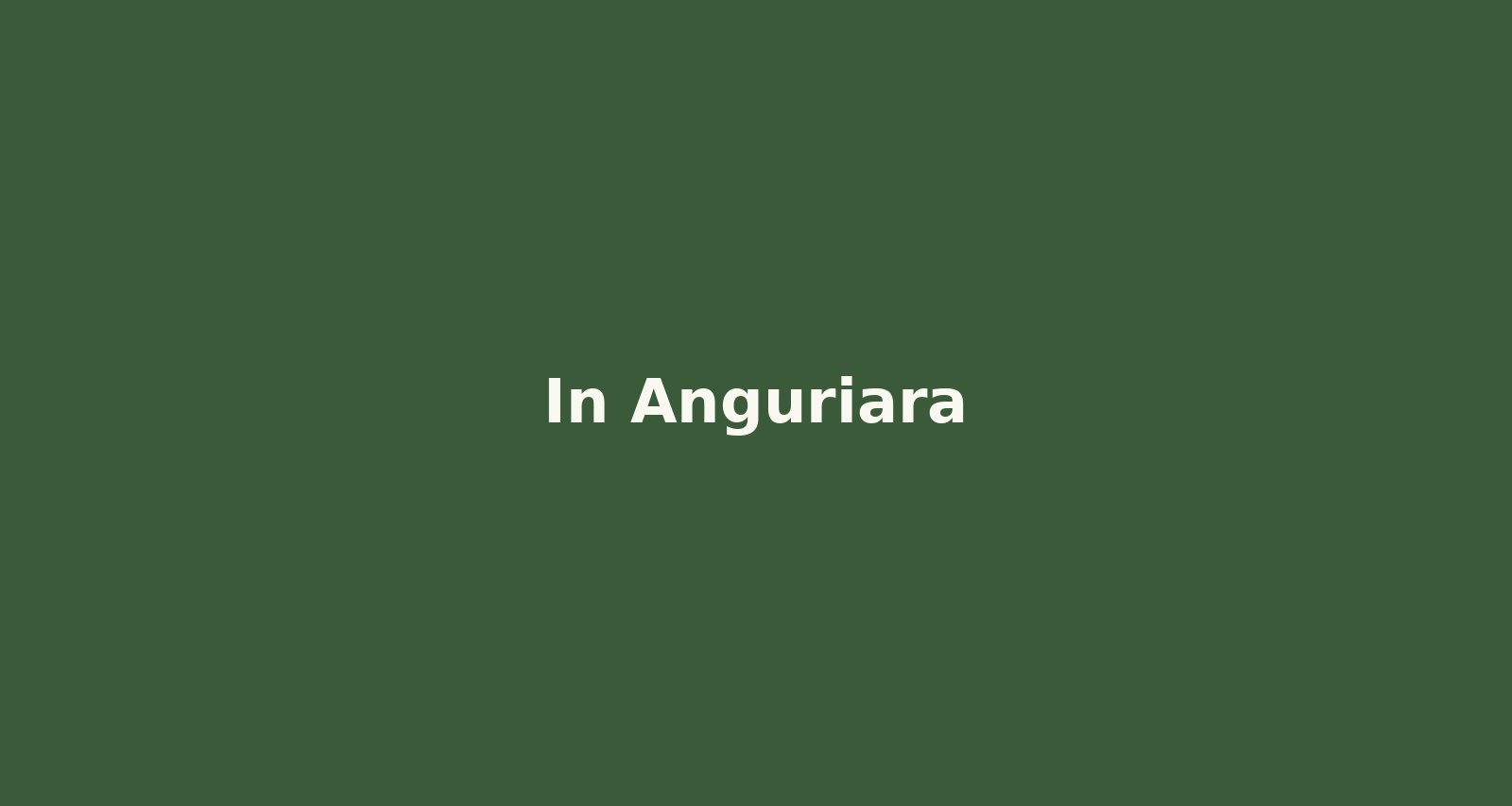 In Anguriara